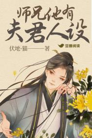 师兄他有夫君人设TXT