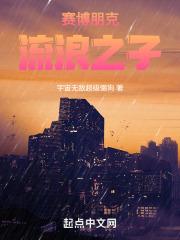 2077赛博朋克流浪者