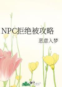 npc系列攻略