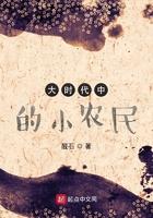 大时代中的小农民TXT