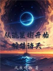 综从流星街走出来的穿越者