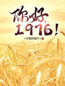 你好1976郑为民免费阅读全文