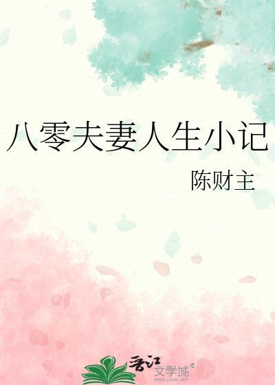 八零夫妻人生小记讲的什么