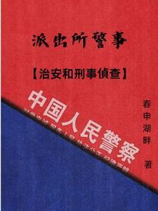 派出所办案刑事案件治安案件