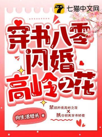 穿书八零闪婚高岭之花txt